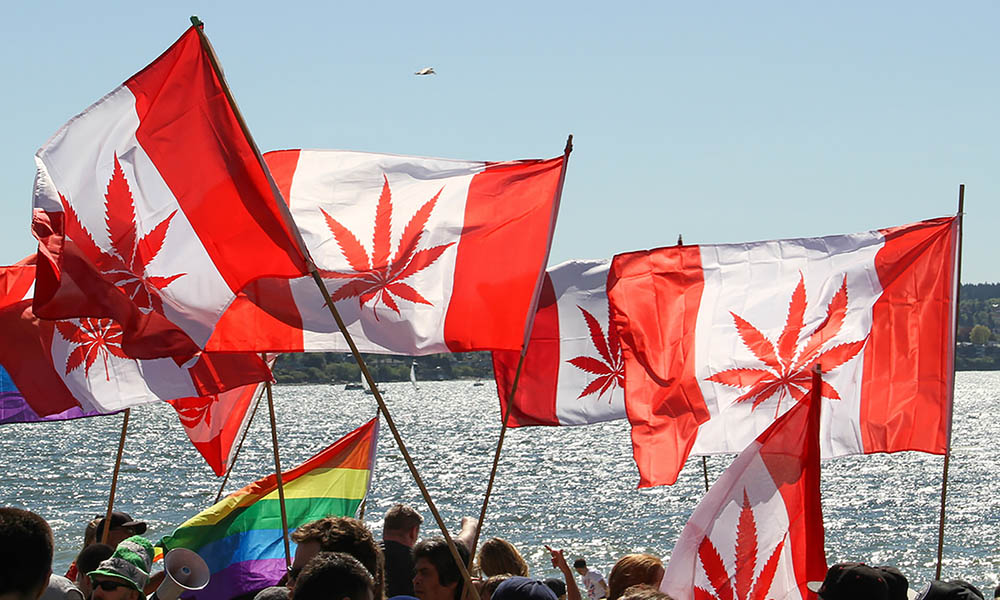 Cannabis Dispensaries: How many is too many?